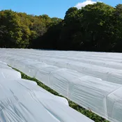100′ TUNNEL FLEX KIT, DIY LOW TUNNELS