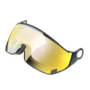 #30 DL Vario Gold Visor