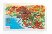 Los Angeles Raised Relief Map, Souvenir size