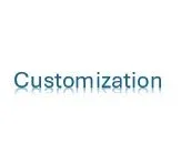 Lady Gulls Customization - Sleeve or Back of Shirt — Pennell Printing