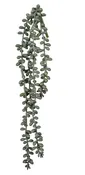 14" Hanging Sedum Pick