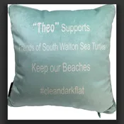 Baby Sea Turtle Pillow Your Kids will Love | Clint Eagar Design