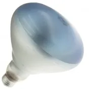 120R40/AGRO GROW LAMP
