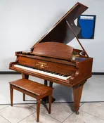 1867 C. Bechstein Grand Piano | Mahogany | 6'8" | Serial No. 2960 | Used