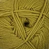 220 Superwash Merino Golden Palm