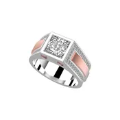 14-anello-24-variante3