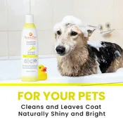 Aroma Paws Lemongrass Vanilla Bean Dog Shampoo & Conditioner - 13.5 oz