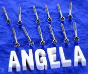 12 Generic '60s Style Nickel Round Phillips Head Screws For Tele Neck Pickup, Jazzmaster & More, #GTNP