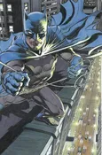 BATMAN #135 CVR G NEAL ADAMS CARD STOCK VAR (#900)