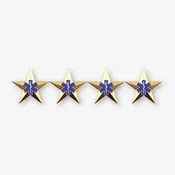 Emergency Medical Services Four Star Rank Insignia - Pair