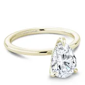 0.05ctw Diamond Hidden Halo Pear Shaped Engagement Ring