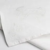 Aidan Koch Napkins