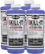 Bio-Dex Fast Acting Algaecide Skill-It 32oz. 4-Pack