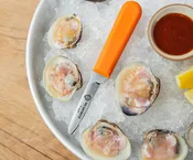 Clam Knife
