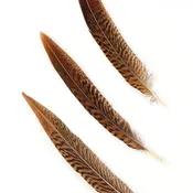 10 PC/PKG Golden Pheasant Tails 10-12" - Natural