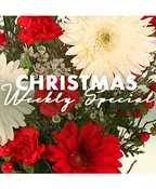 CHRISTMAS ARRANGEMENT