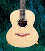 Lowden Batch 45 Guitar, F-38 Special IR/LZ Ltd Edition