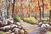 Woodland Path