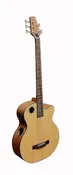 EBR1-B5 Acoustic-Electric Bass