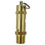 10 PSI Safety Valve