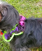 Black/Multi Vibrant Crocheted Collar with Lava Diffuser Closure