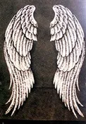 Angel Wings V-Neck 295