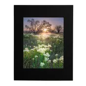 8x10 Spring Dawn