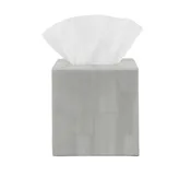 Arles Tissue Box in Light Gray