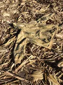 Hooded Sweatshirt in Prairiehide