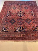 Afghan Mohmedi