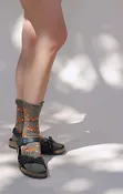 Animal Rescue Pairs "Fox" Dog Socks