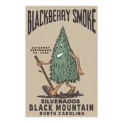 2022 Show Poster Black Mountain NC - D 7