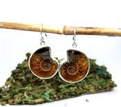 AMMONITE EARRINGS