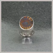 Ammonite Ring