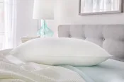Chamber Pillow