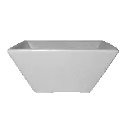 Condiment Bowl