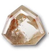DIA138a Orange Salt & Pepper Shield