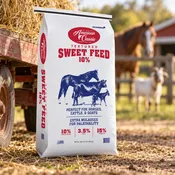 10% All Stock Sweet feed