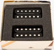 Bare Knuckle Pickups - Black Dog Set - Potted - Double Black