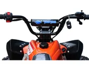 ATV 125cc CHEETAH MID SIZE BY TAOTAO