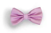 #113 Bow Tie