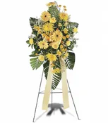 Brighter Blessings Spray