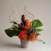 if you like tropical