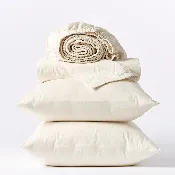 Coyuchi Cloud Soft Organic Sateen Sheet Set