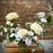 Soft Elegance