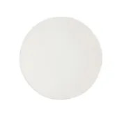 10.75" Heirloom Smoke Dinner Plate