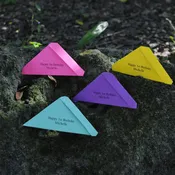 12 Painted Lady Butterflies, Individual Release Envelopes