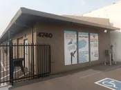 Window Vinyl Perforated