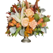 Fall Wishes