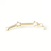 Aries Pin